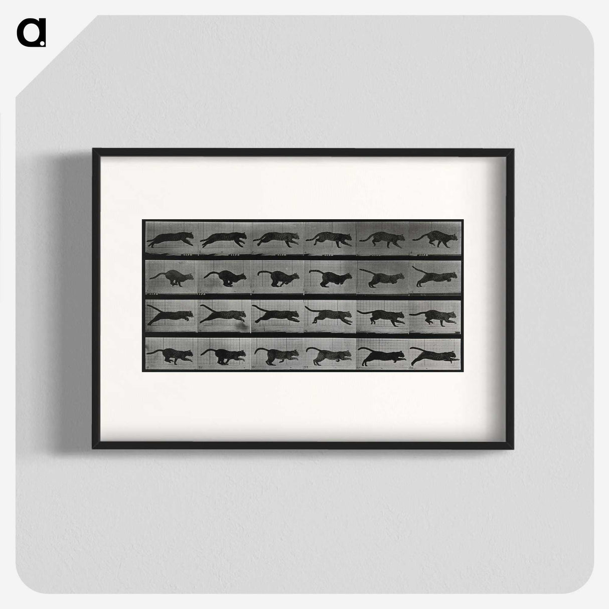1-26_Eadweard-Muybridge_blk