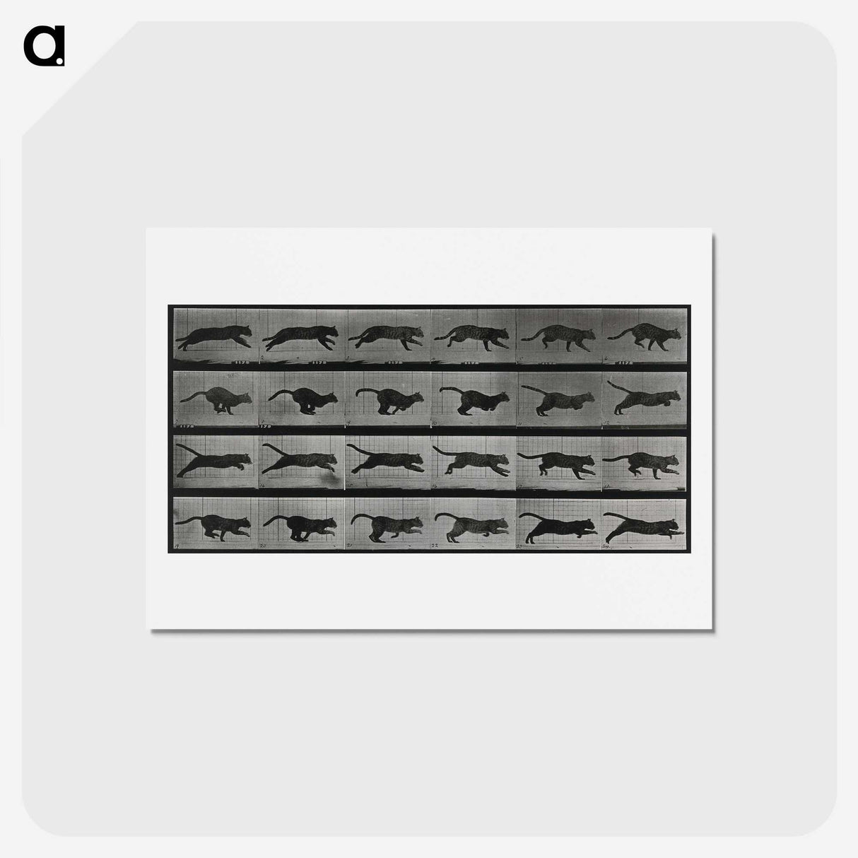 1-26_Eadweard-Muybridge_hagaki