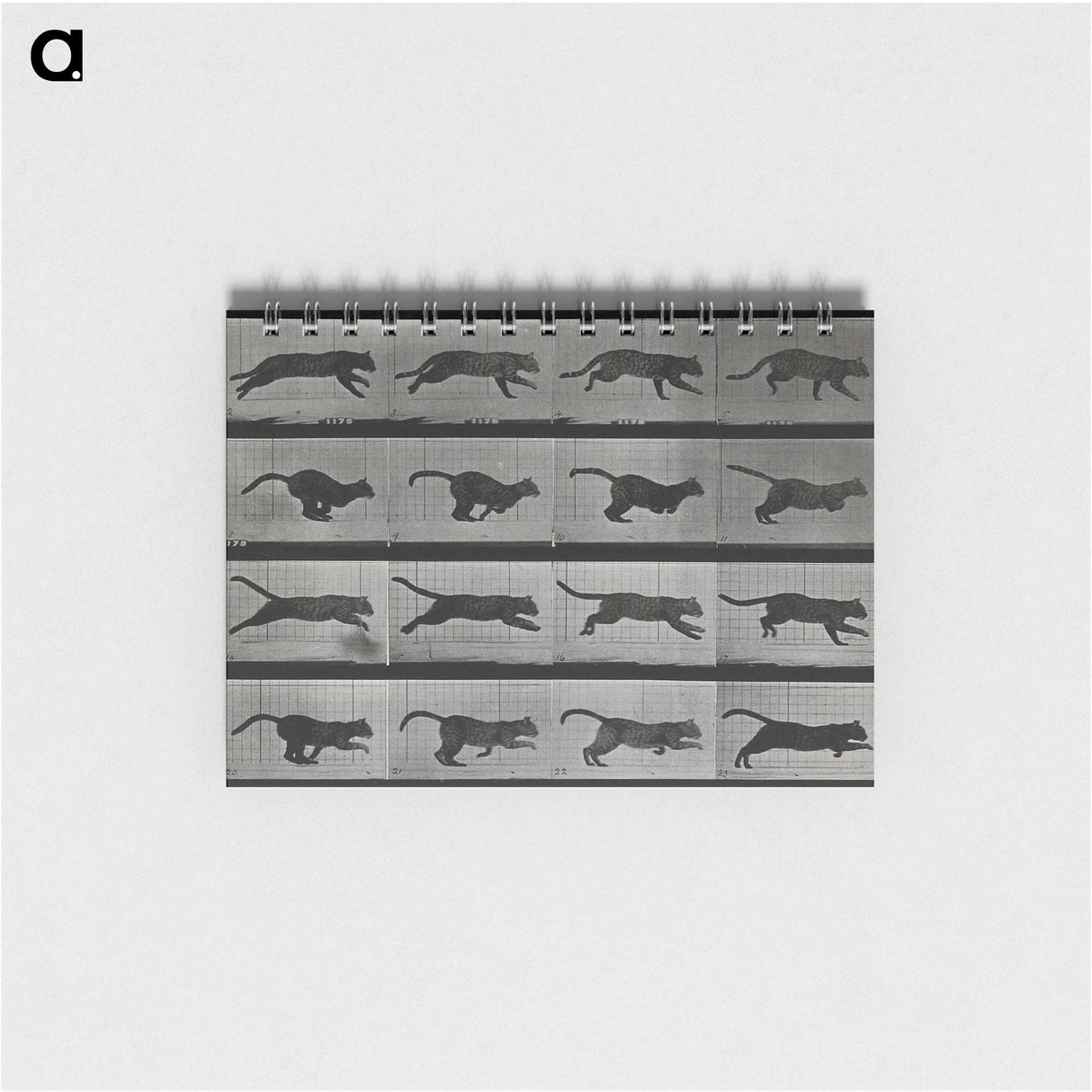 1-26_Eadweard-Muybridge_memo