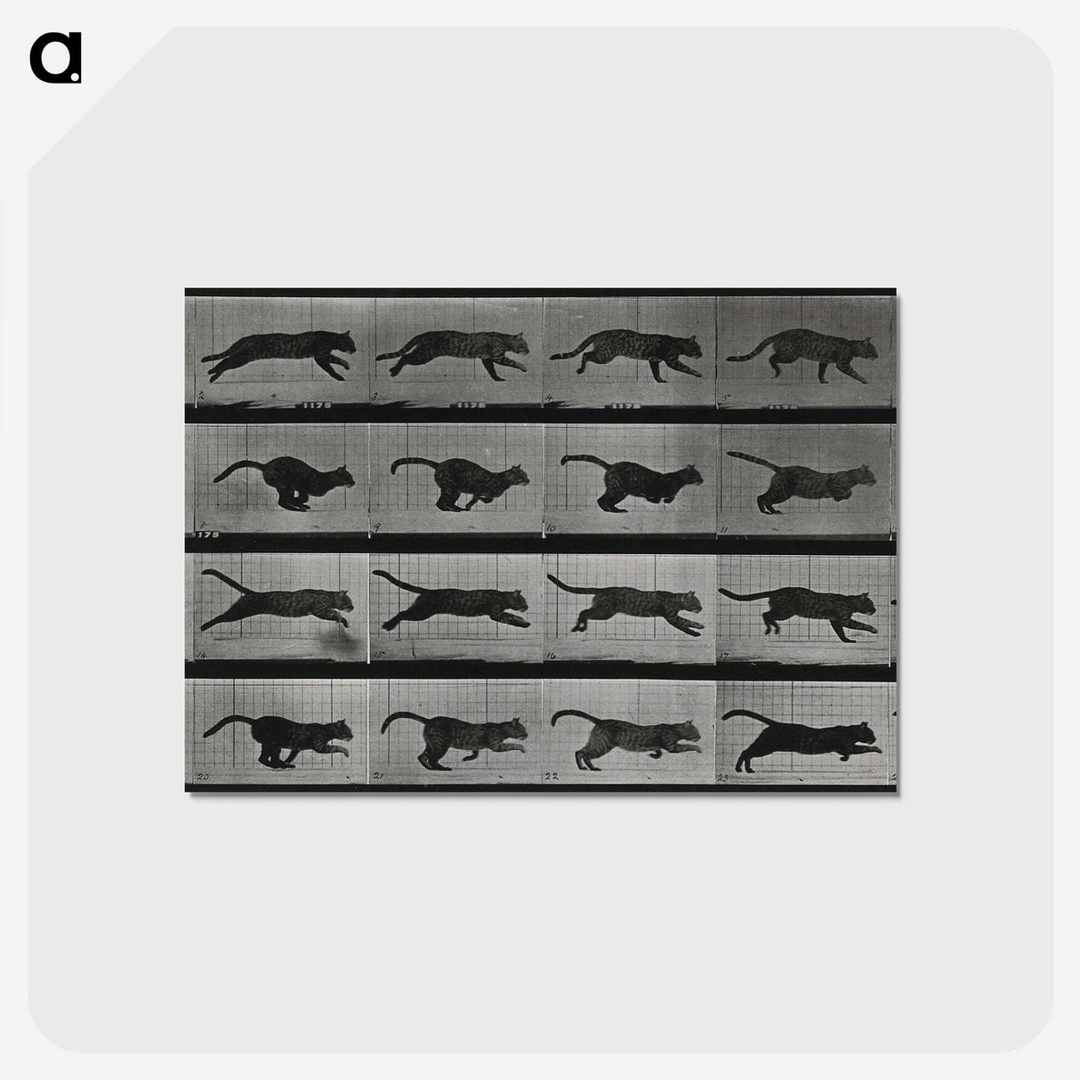1-26_Eadweard-Muybridge_postcard