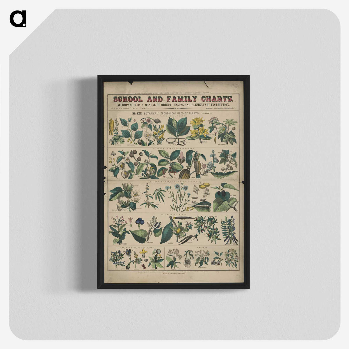 1-26_Education-Charts_blk-crop