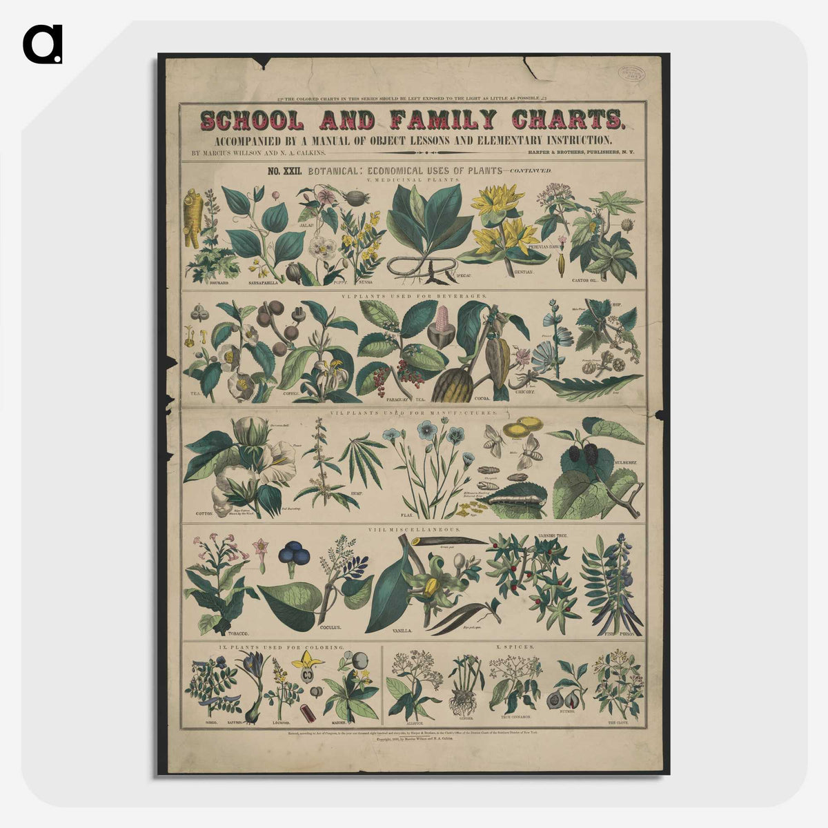 1-26_Education-Charts_picture-crop