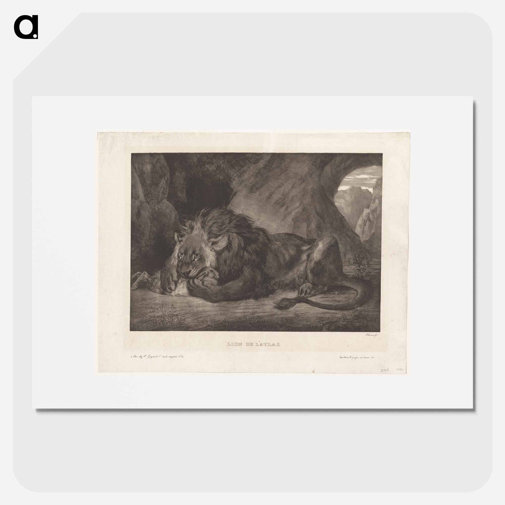 Lion of the Atlas Mountains - ウジェーヌ ドラクロワ Poster.