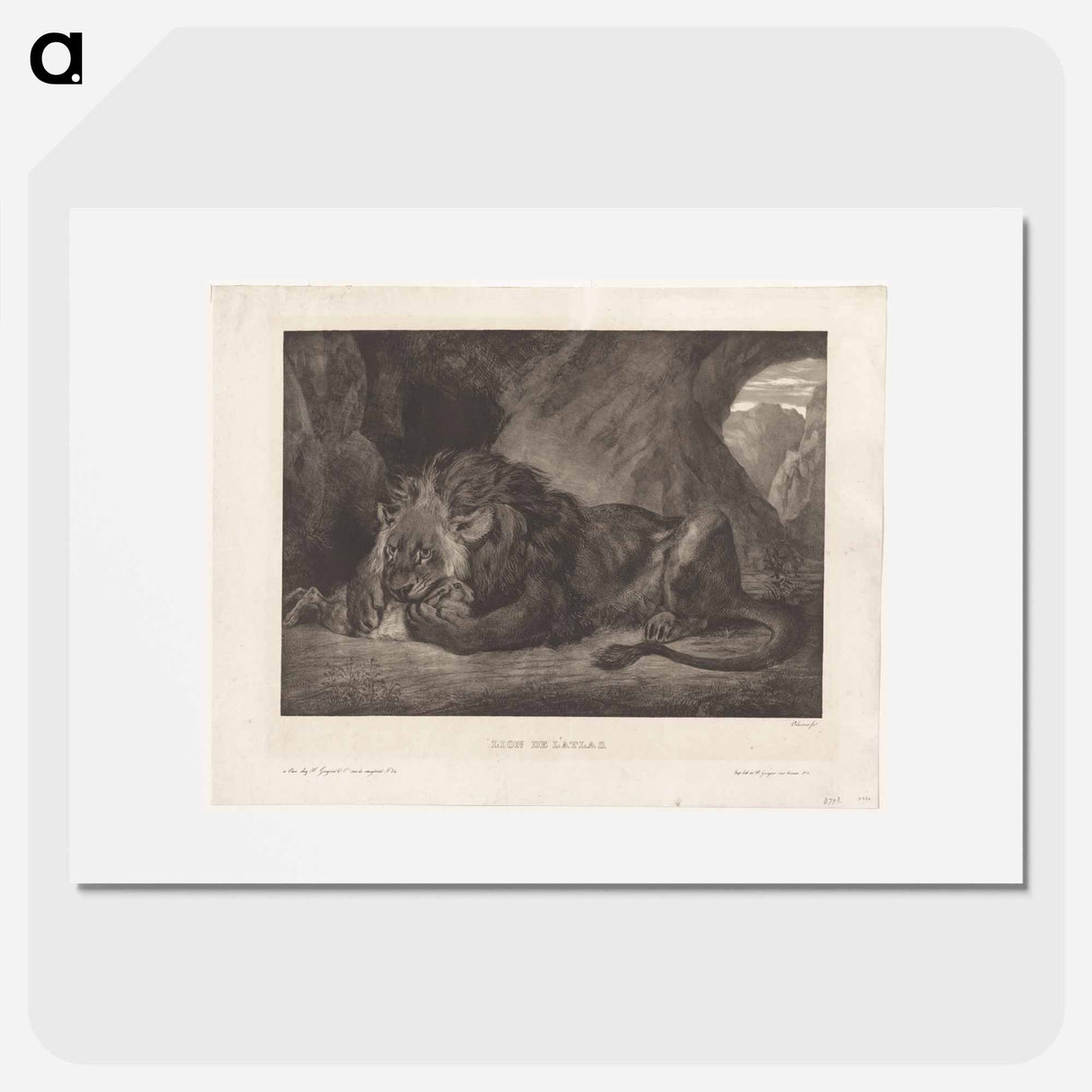 Lion of the Atlas Mountains - ウジェーヌ ドラクロワ Poster.