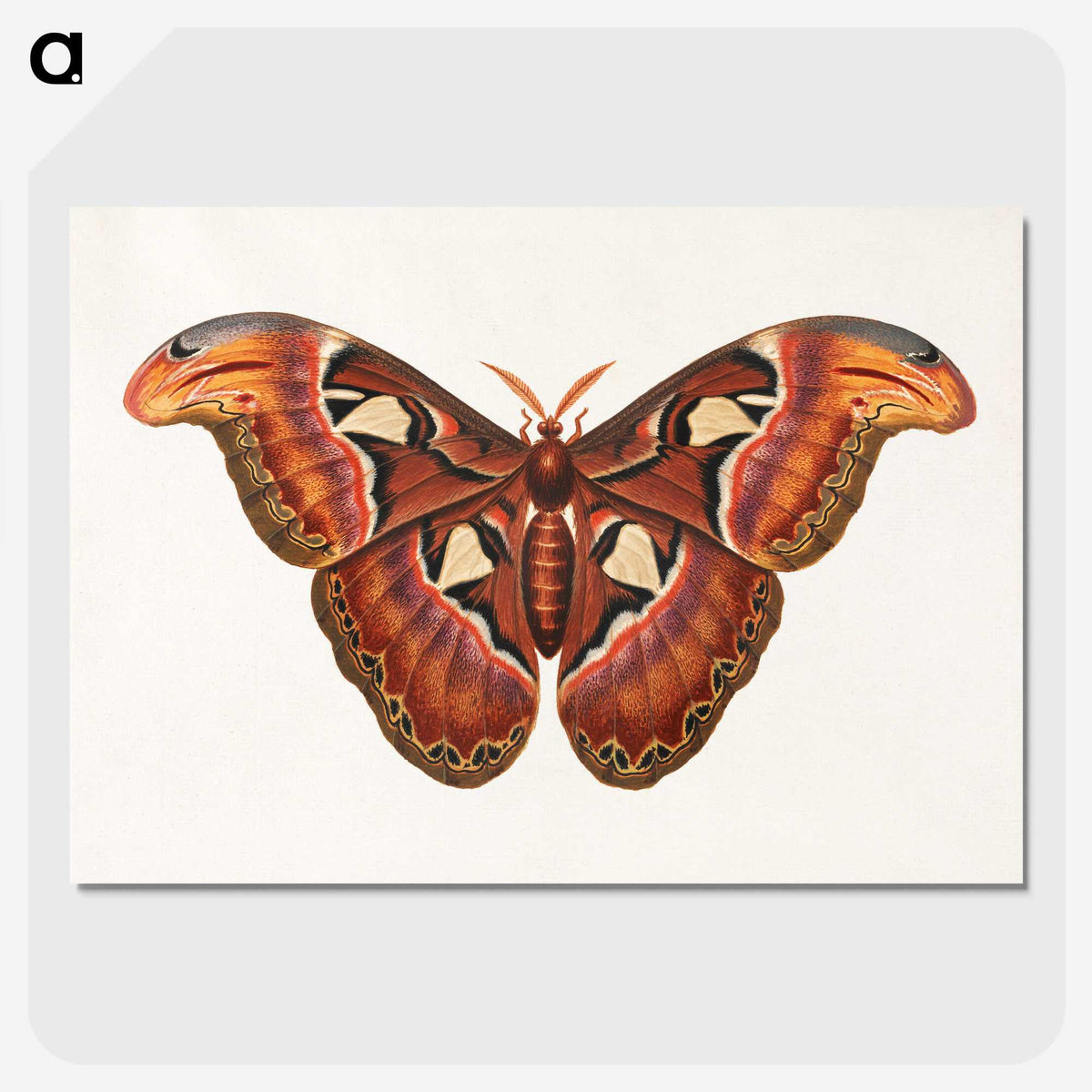 1-26_George-Edwards_picture-crop
