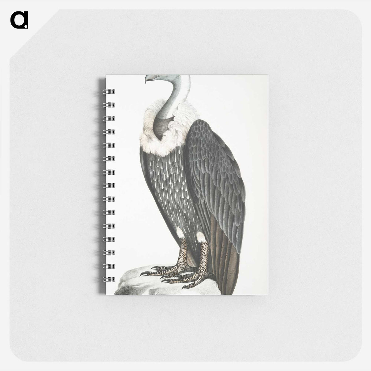 1-26_Indian-Zoology_memo
