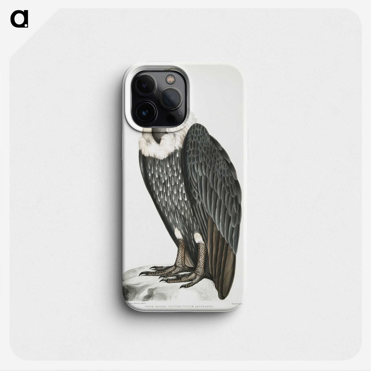 1-26_Indian-Zoology_phone