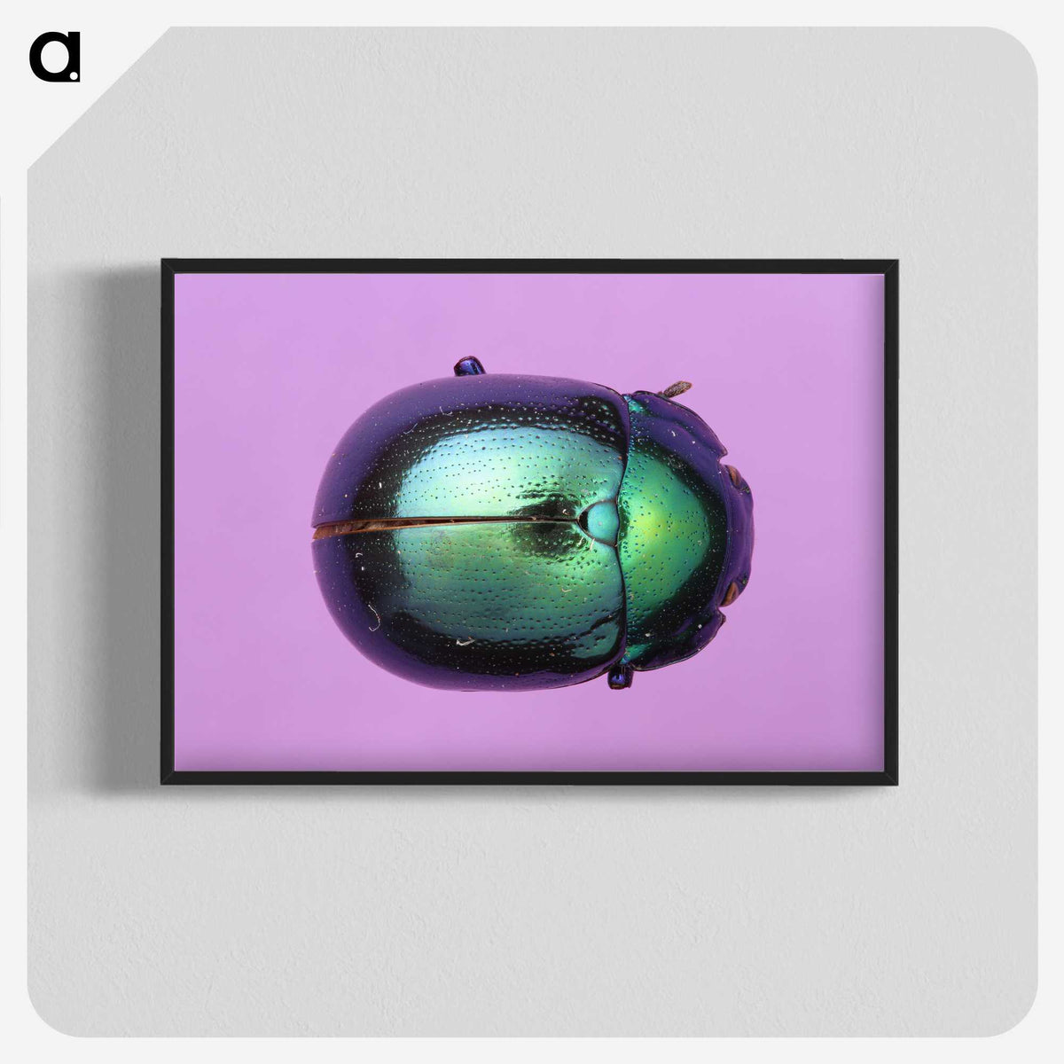 1-26_Insects-Unlocked-Project_blk-crop
