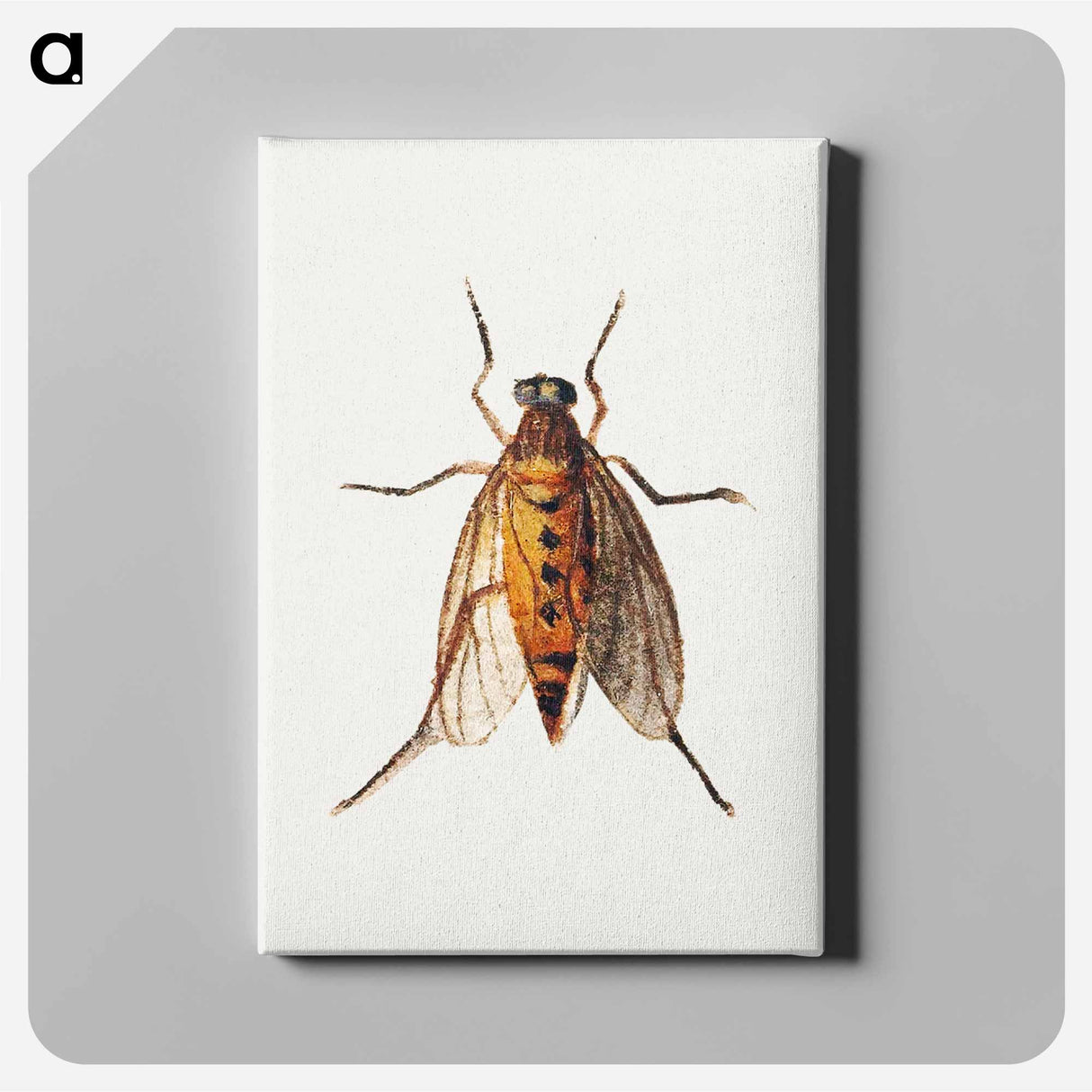 アートパネル-Cicada
- ヤン ファン ケッセル Canvas.