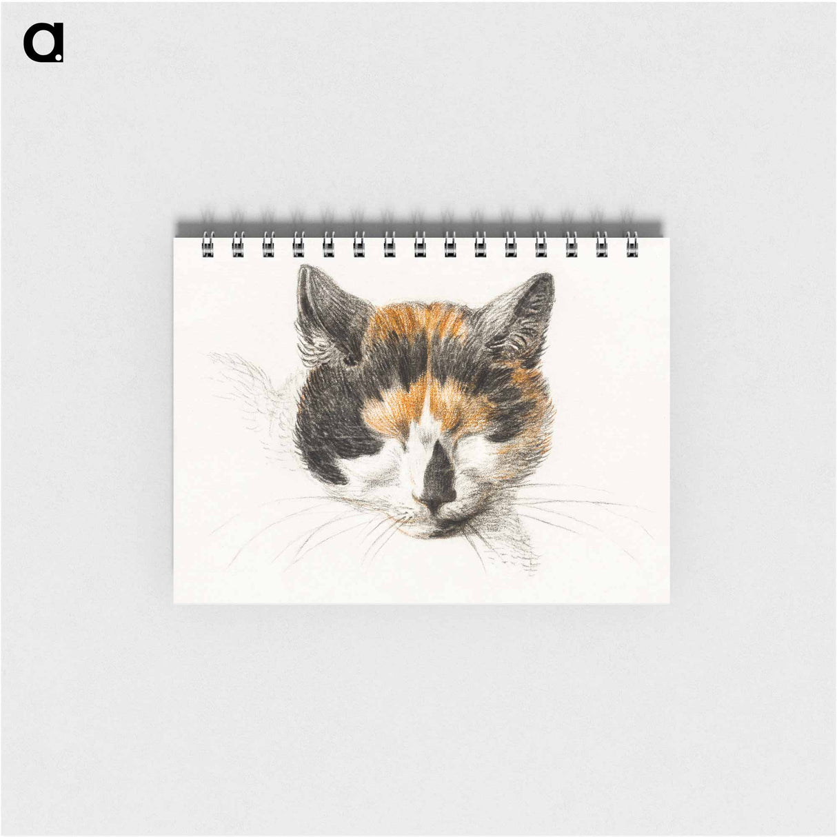Head of a calico cat with closed eyes - ジャン ベルナール Memo.