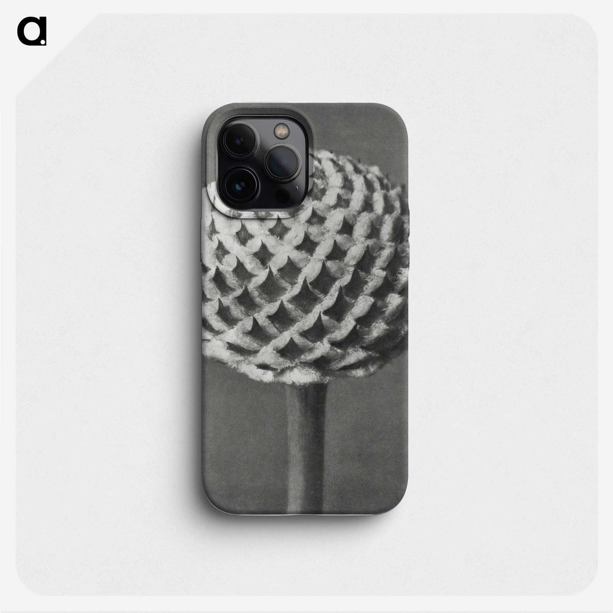 1-26_Karl-Blossfeldt_phone