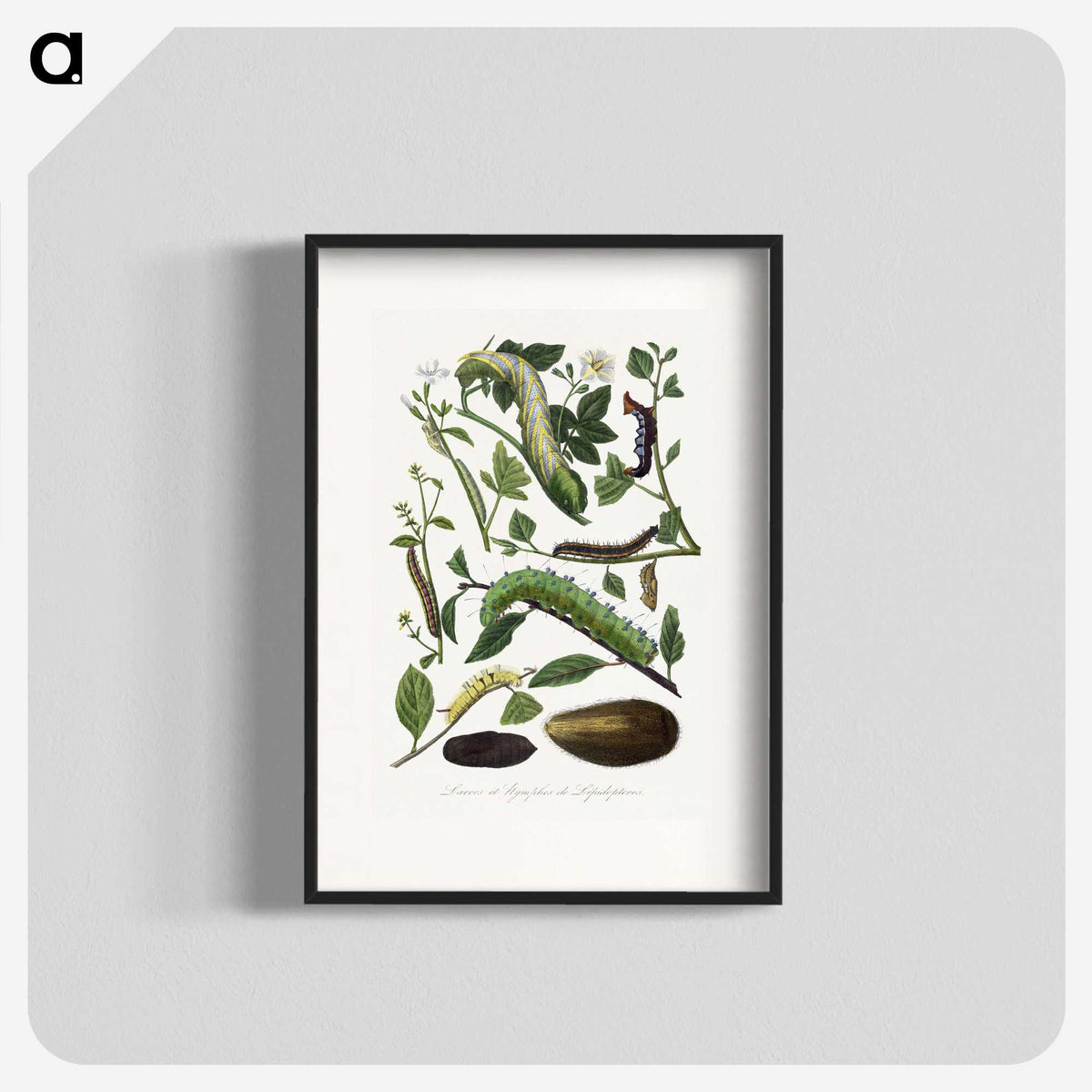 1-26_Le-Jardin-des-Plantes_blk