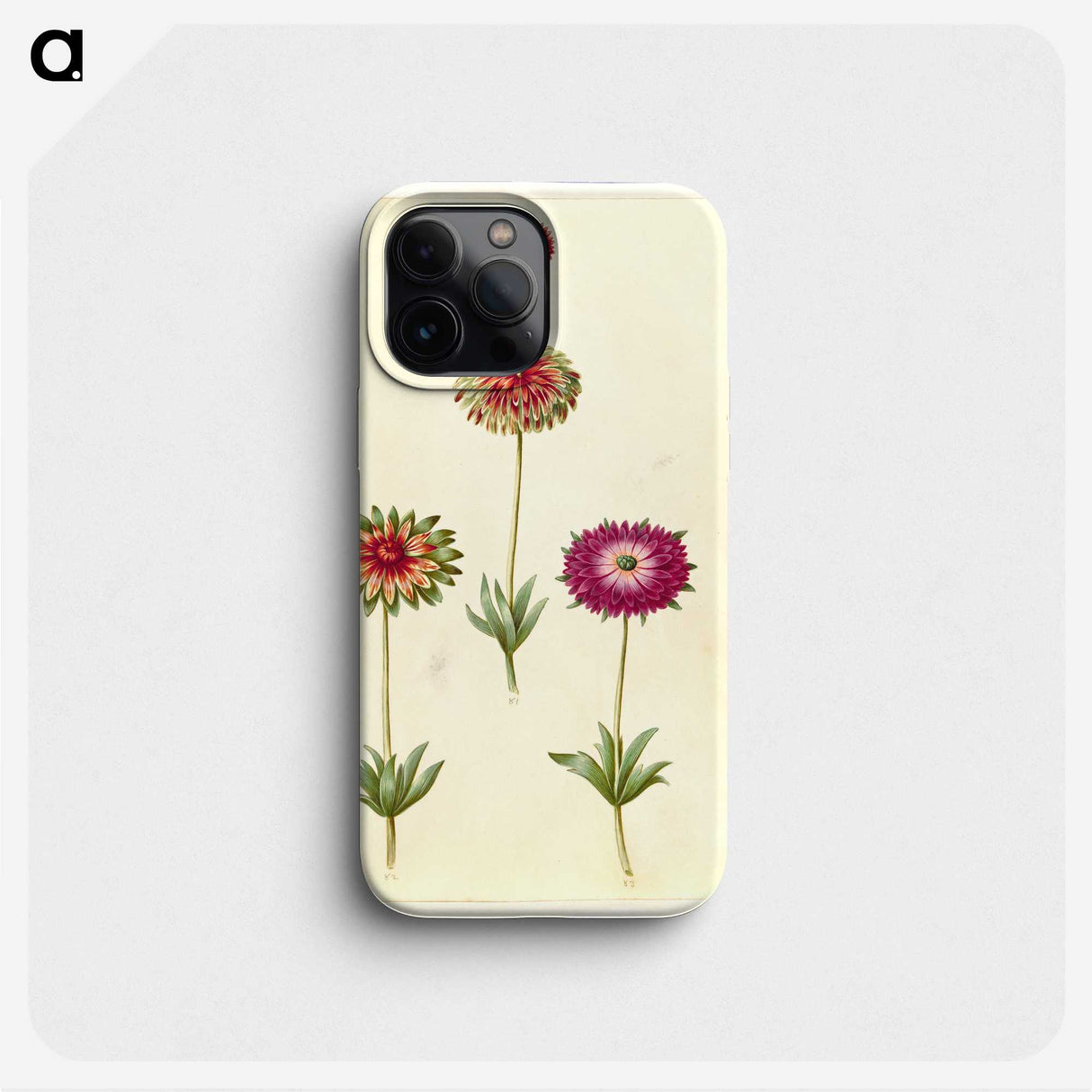 1-26_Maria-Sibylla-Merian_phone