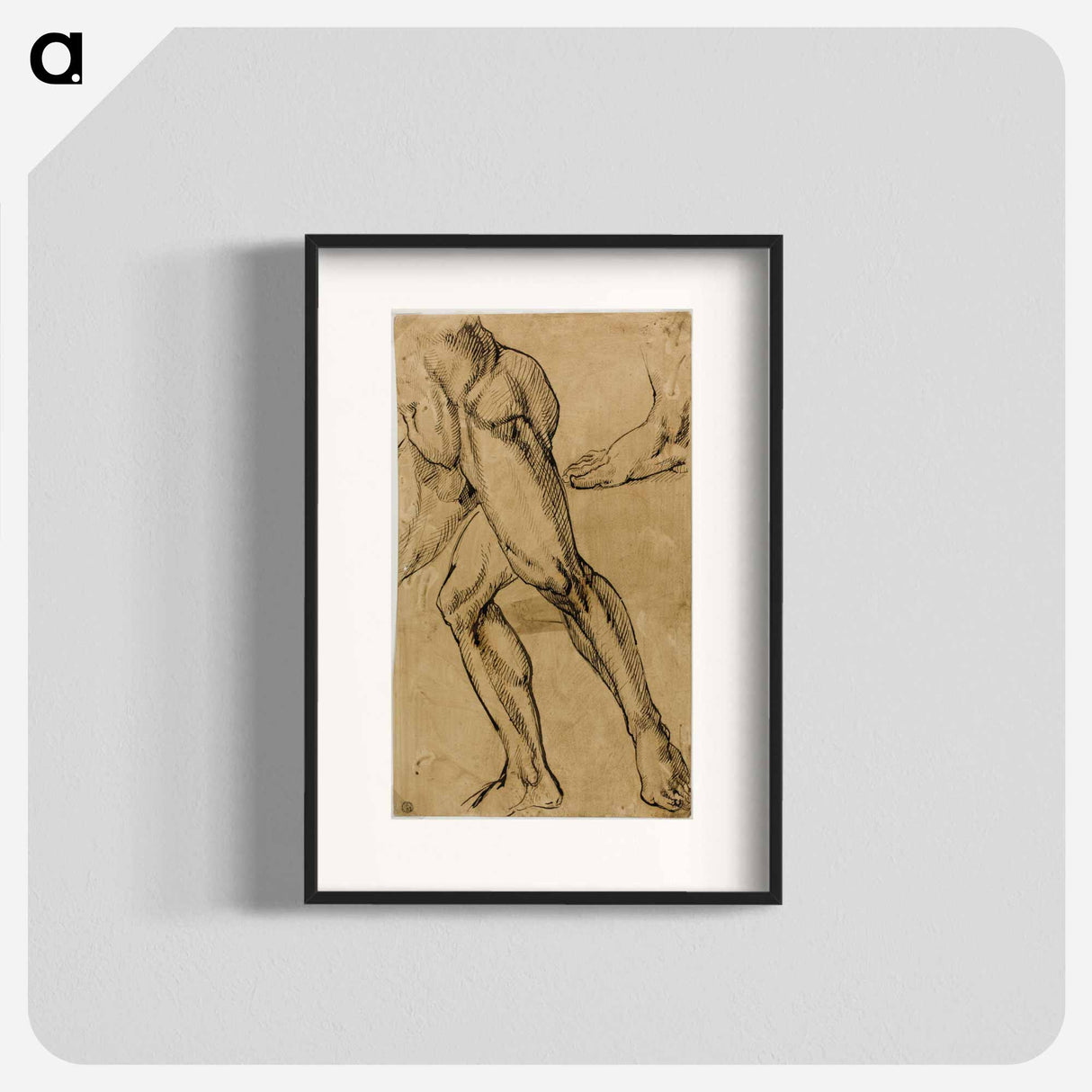 Legs and Feet of Male Nude - Michelangelo Buonarroti Poster.