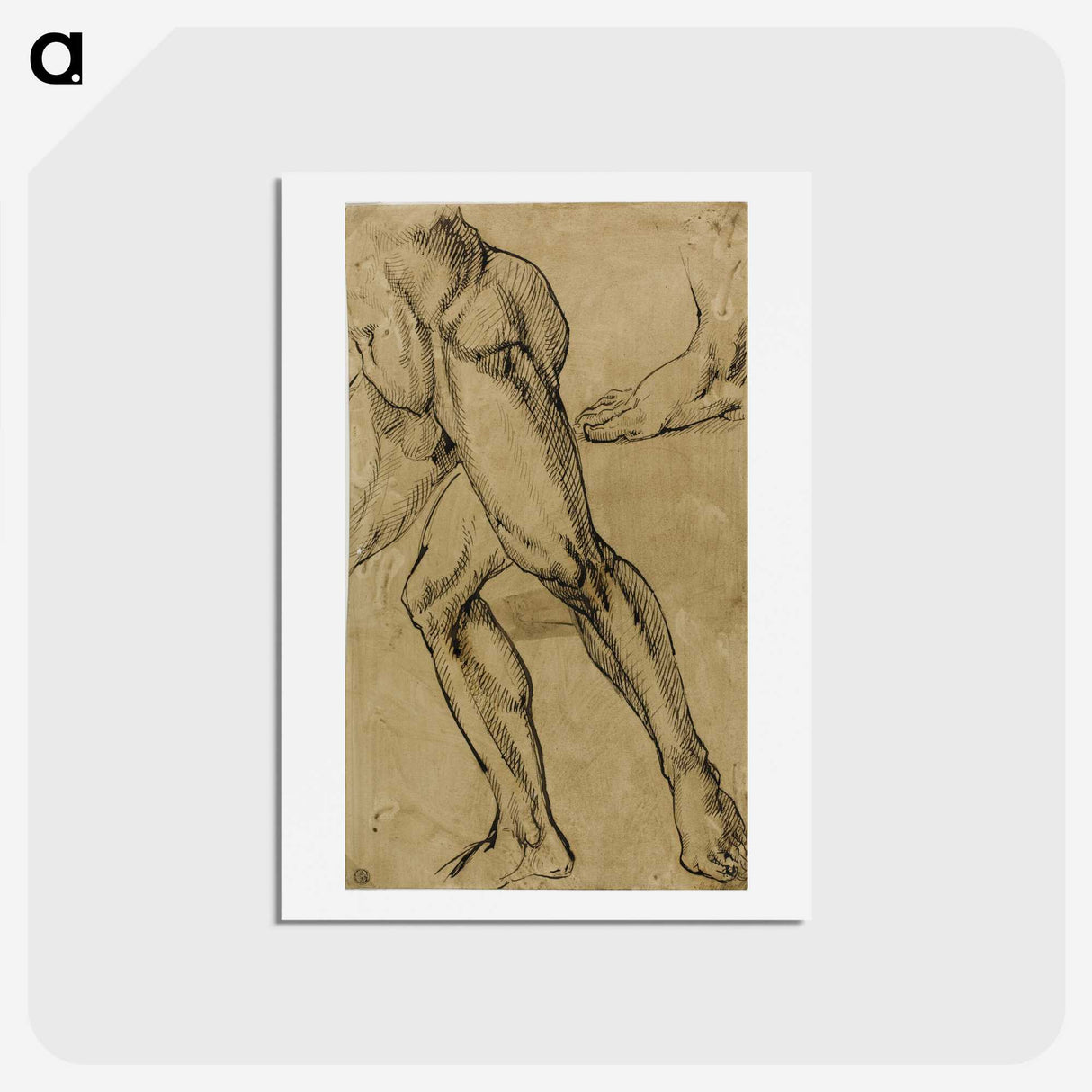 1-26_Michelangelo-Buonarroti_hagaki