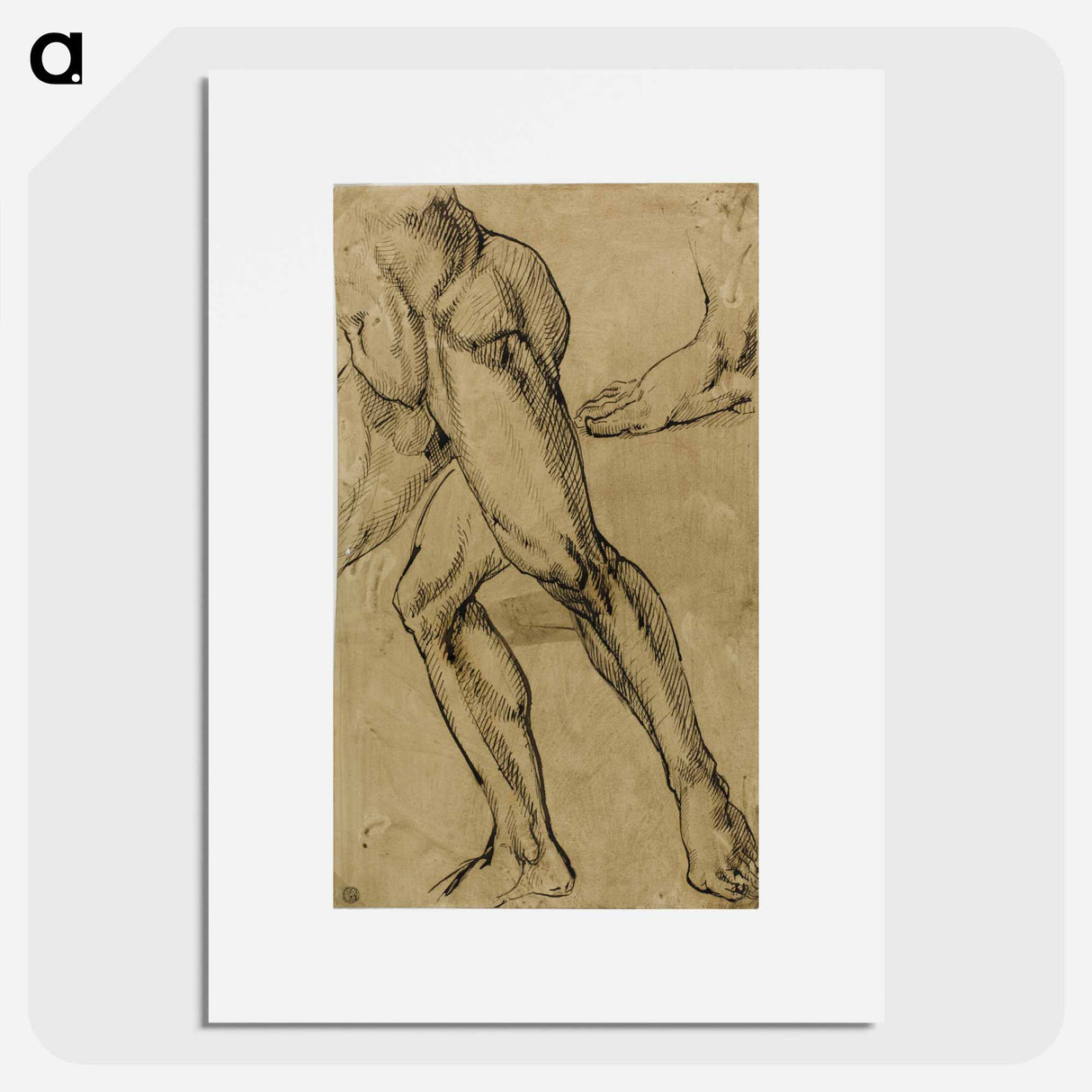 Legs and Feet of Male Nude - ミケランジェロ ブオナローティ Poster.