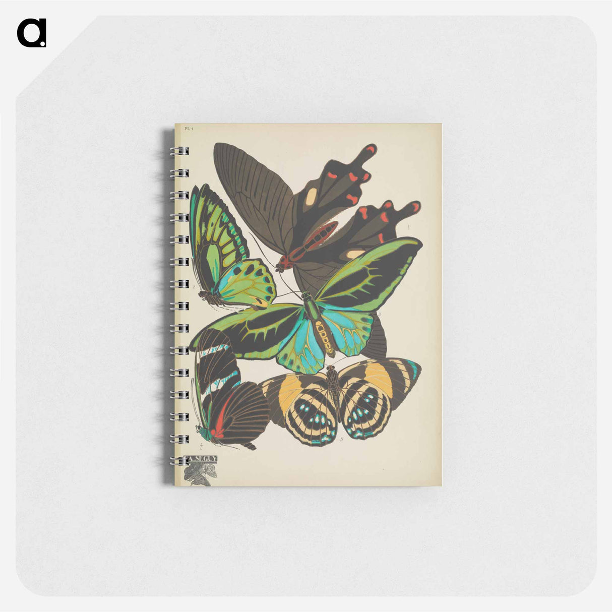アートメモ帳-Vintage Butterflies
- パピヨン Memo.
