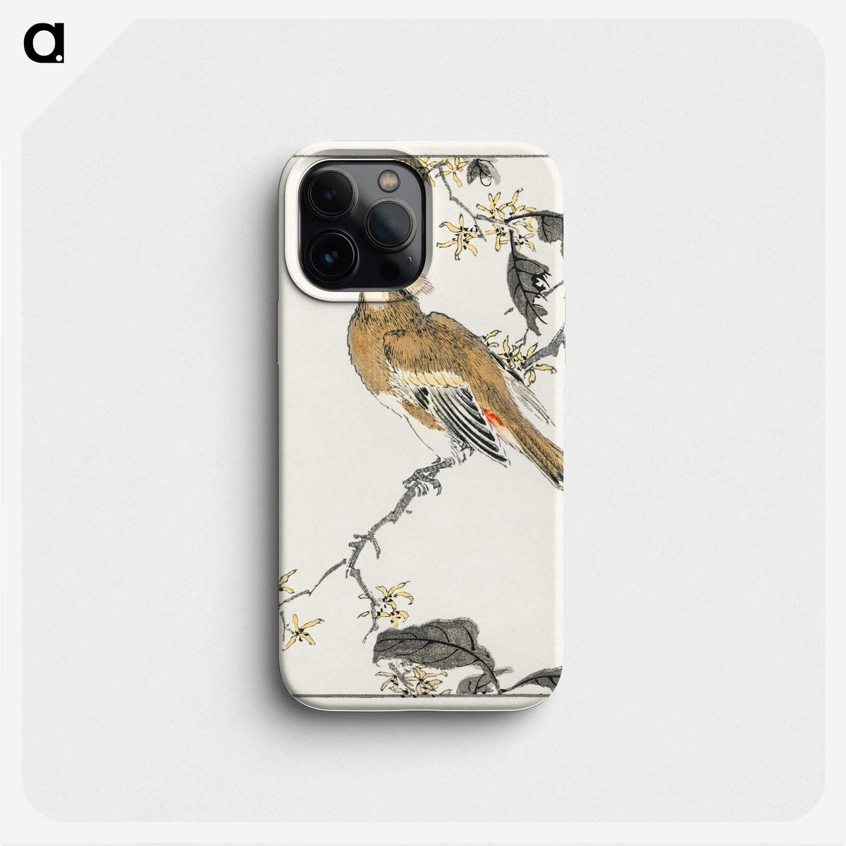 1-26_Pictorial-Monograph-of-Birds_phone