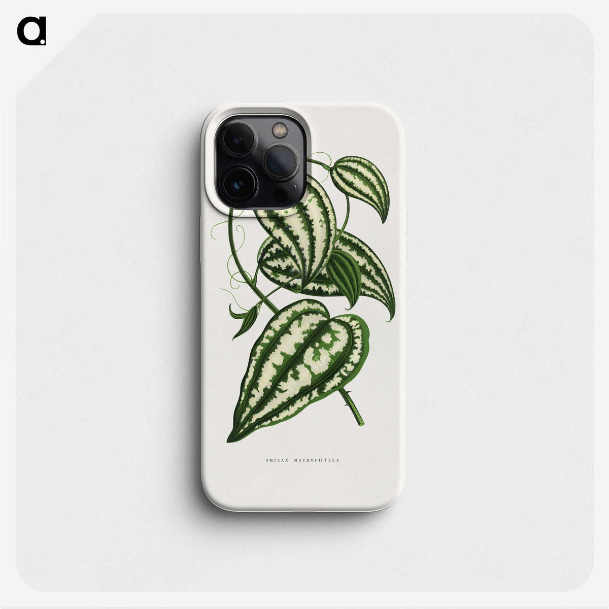 1-26_Plants-with-Colored-Foliage_phone