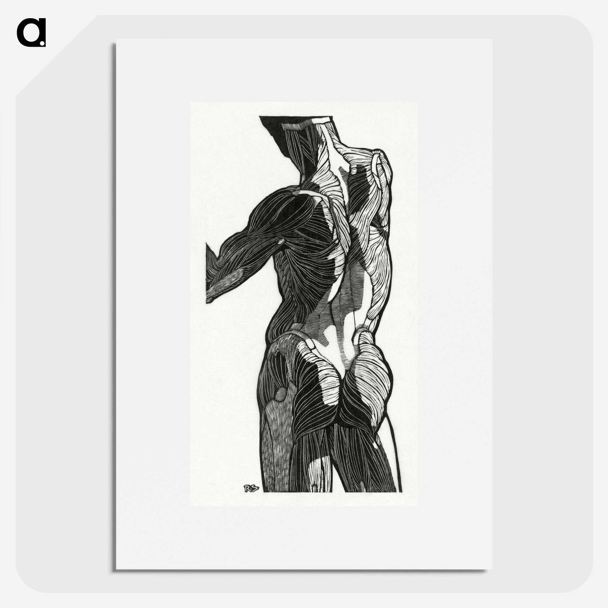 1-26_Reijer-Stolk_picture