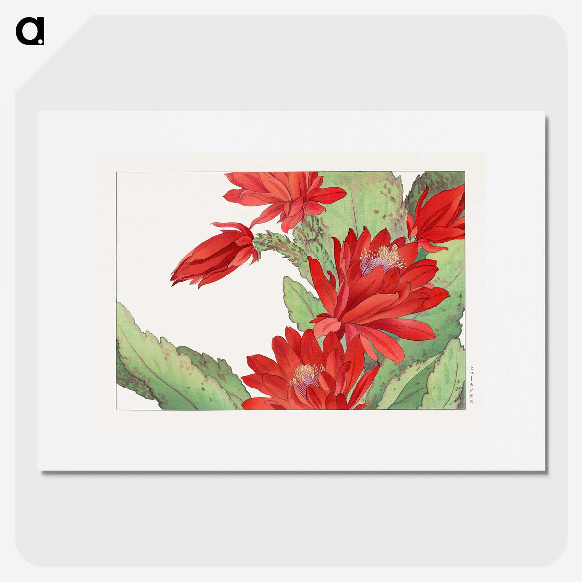 1-26_Seiyo-Soka-Zufu_picture