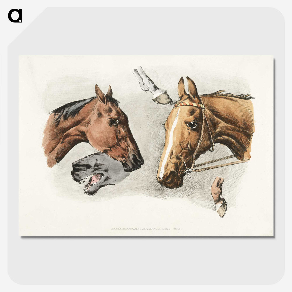1-26_Sporting-Sketches_picture-crop