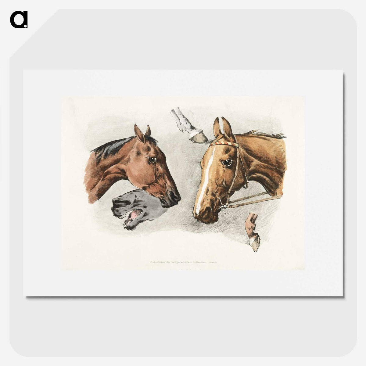 1-26_Sporting-Sketches_picture