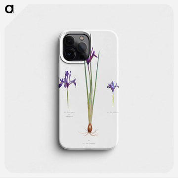 Iris Reticulata, Iris Histrio var. Orthopetala and Iris Bakeriana from The genus Iris
 - アヤメ属 Phone Case.
