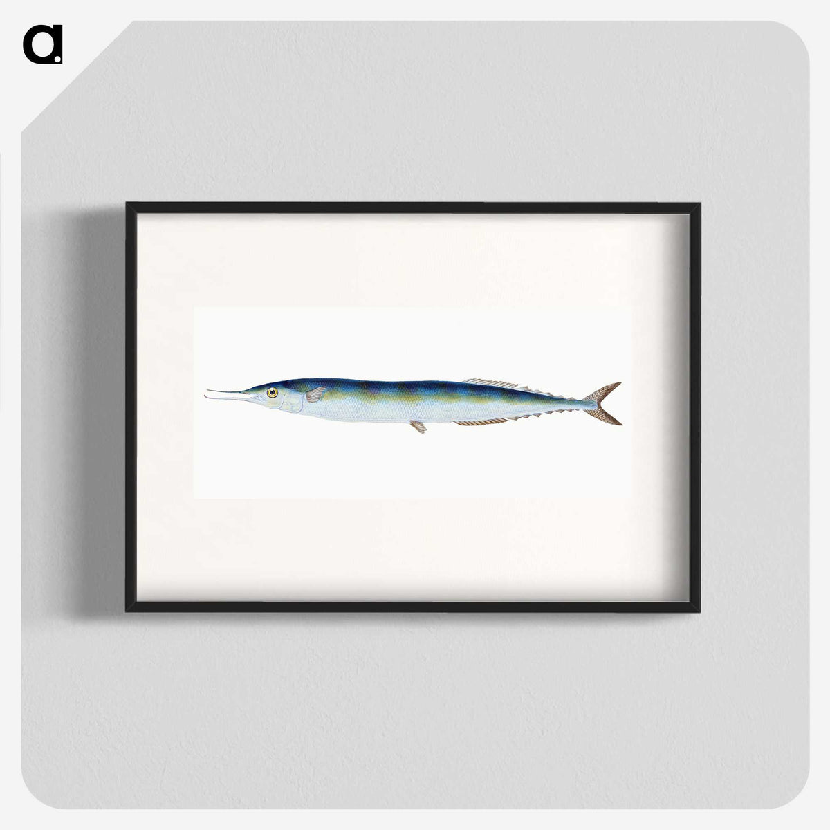 1-26_The-Natural-History-of-British-Fishes_blk