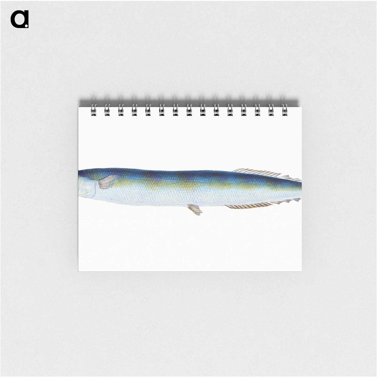 1-26_The-Natural-History-of-British-Fishes_memo