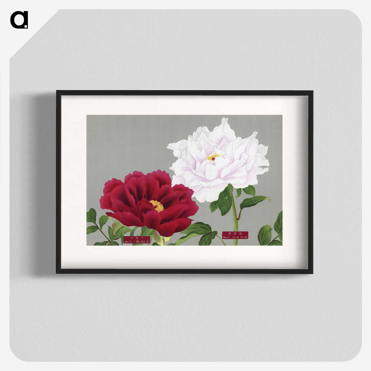 1-26_The-Picture-Book-of-Peonies_blk