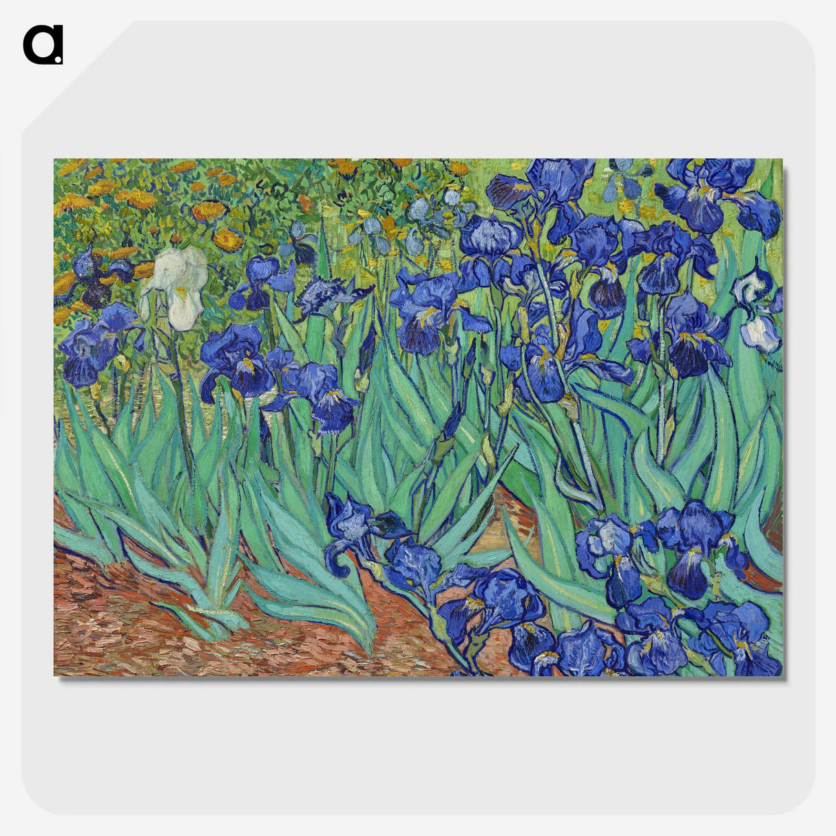 1-26_Vincent-van-Gogh_picture-crop