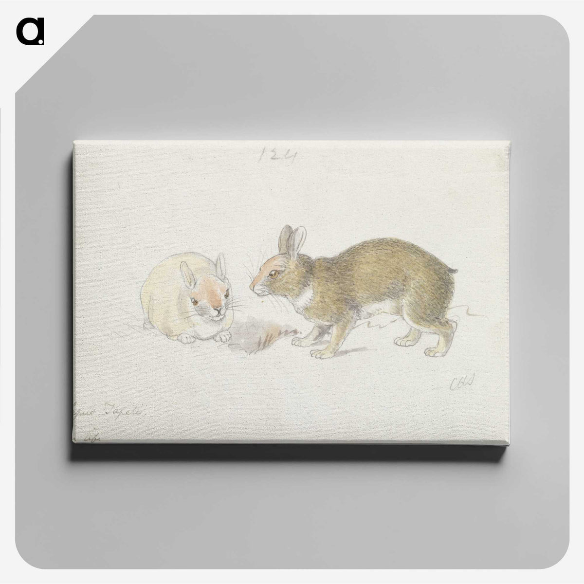 1-27_Charles-Hamilton-Smith_canvas