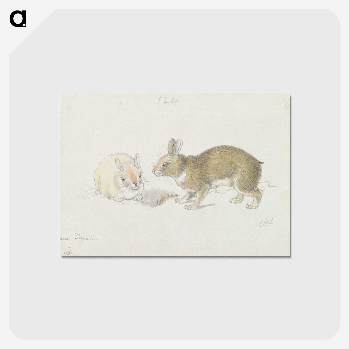 1-27_Charles-Hamilton-Smith_postcard