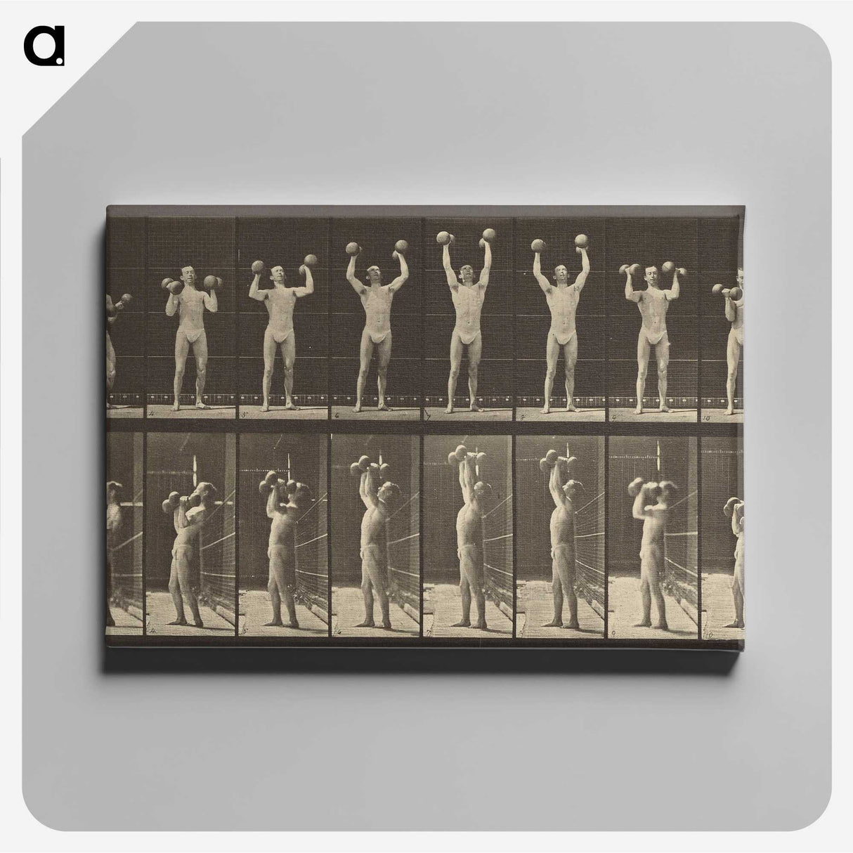 1-27_Eadweard-Muybridge_canvas