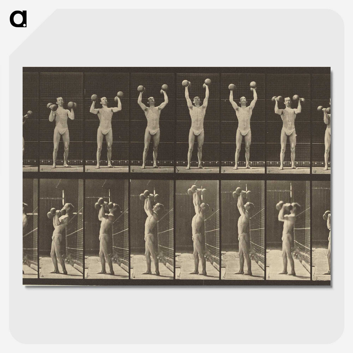 1-27_Eadweard-Muybridge_picture-crop