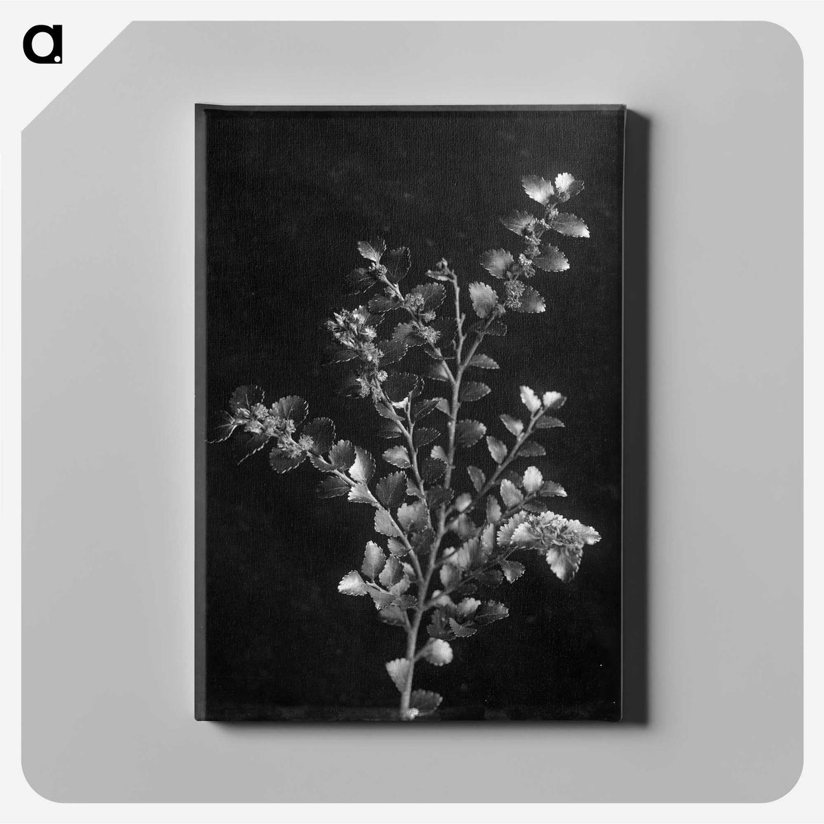 1-27_Frederick-Charles-Brockett_canvas