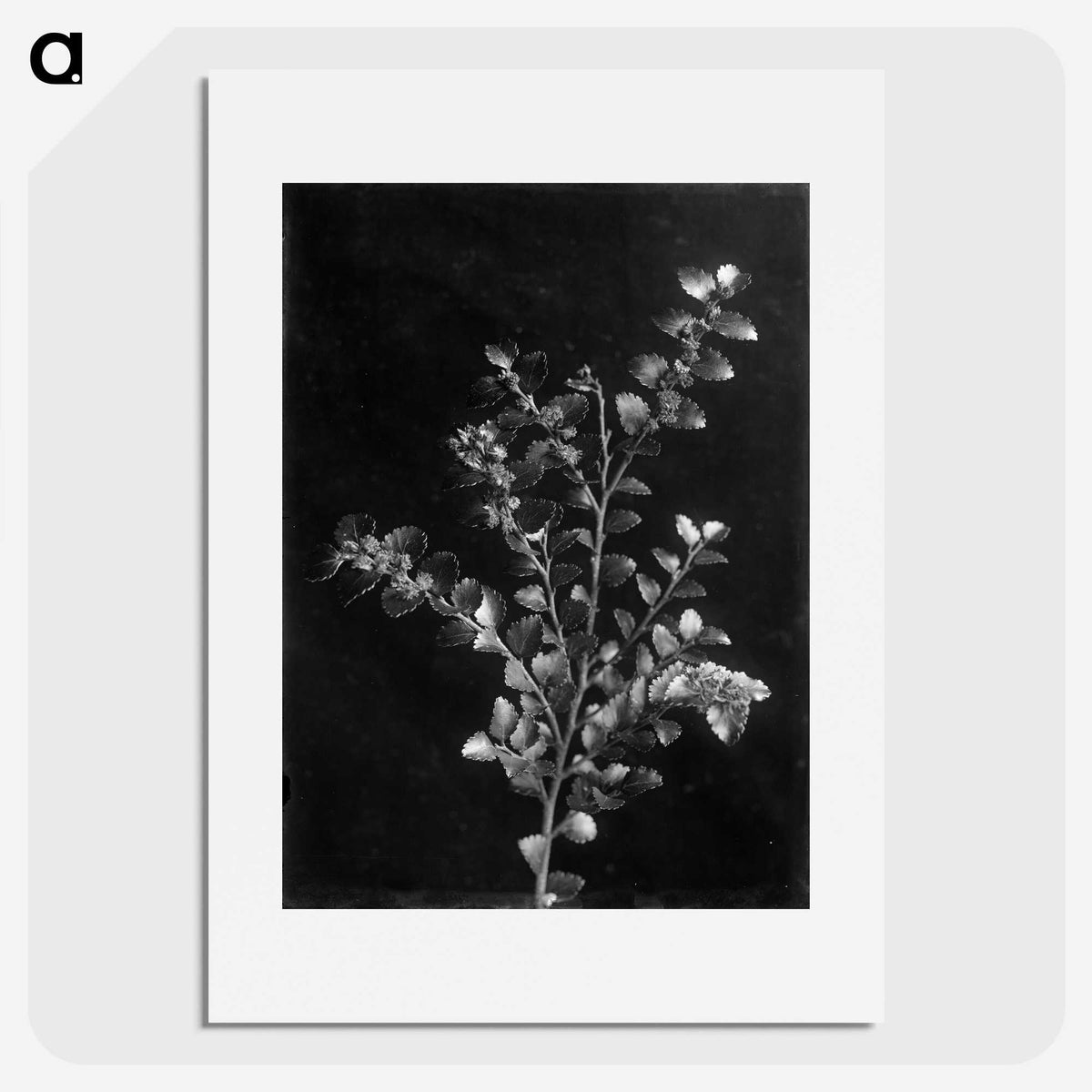 1-27_Frederick-Charles-Brockett_picture