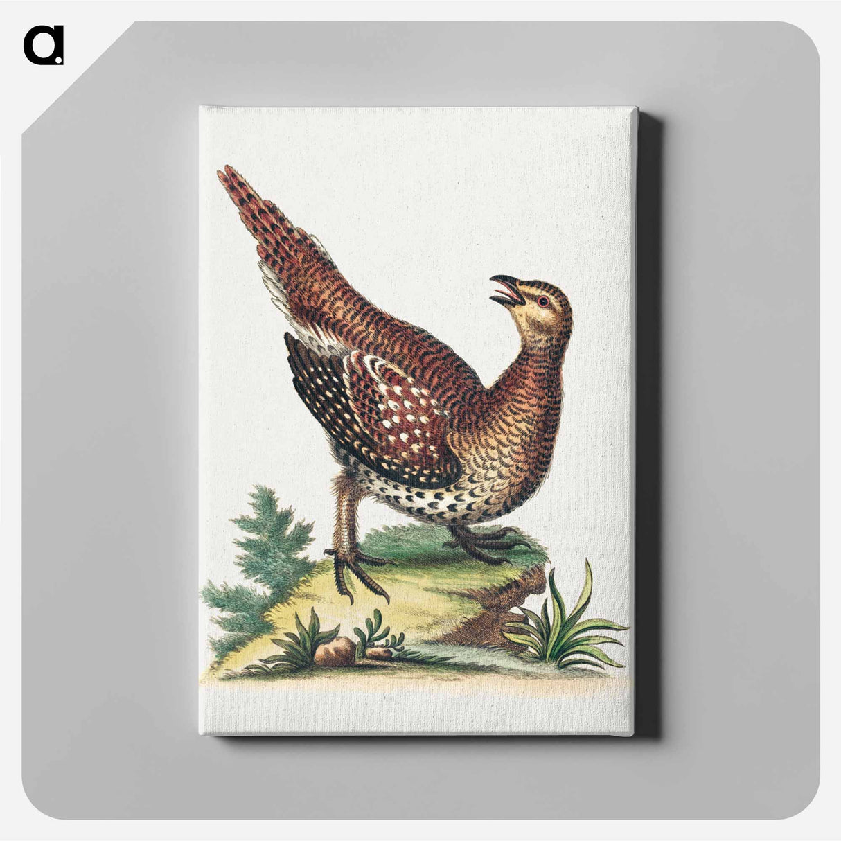 アートパネル-Brown Speckled Bird
- ジョージ エドワーズ Canvas.