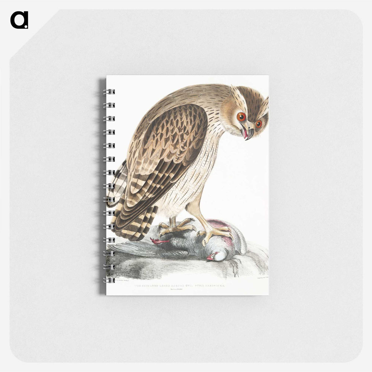 1-27_Indian-Zoology_memo