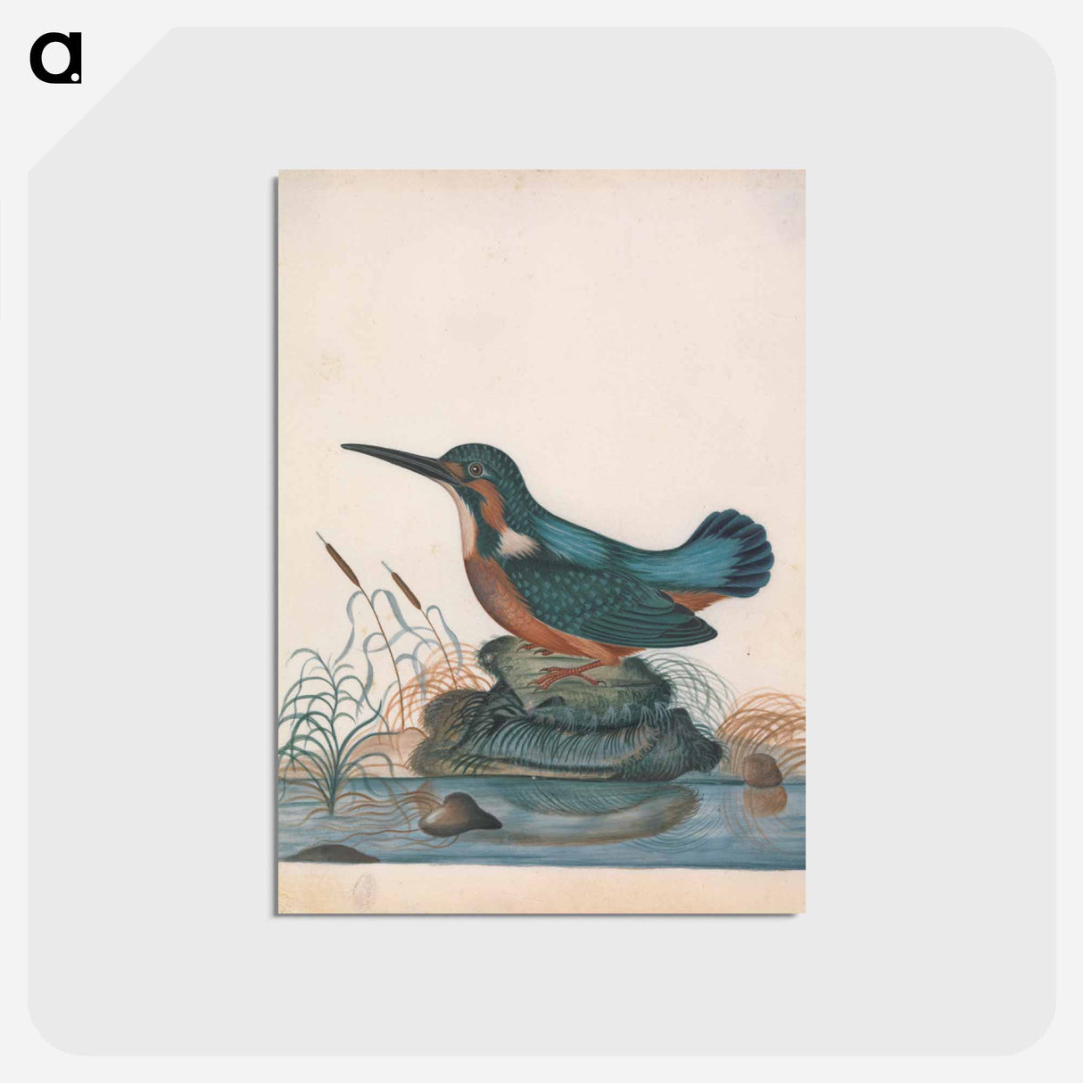 アートポストカード-Anna Blackburne's Natural History Cabinet
- ジェームズ ボルトン Postcard.