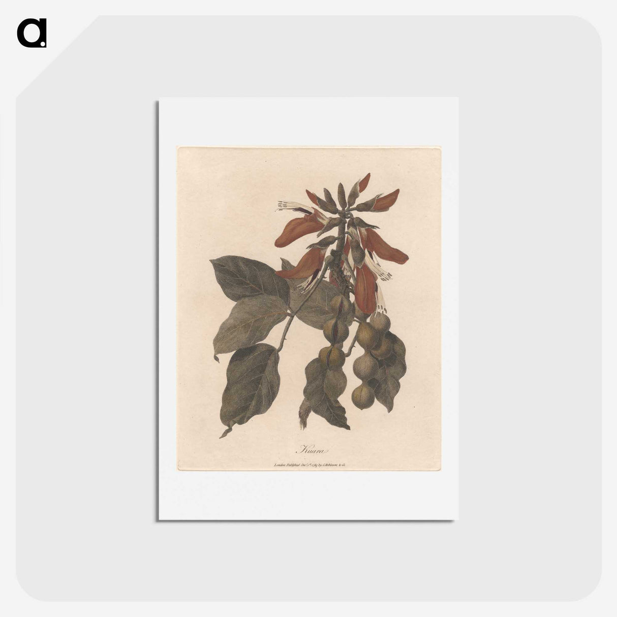1-27_James-Heath_hagaki