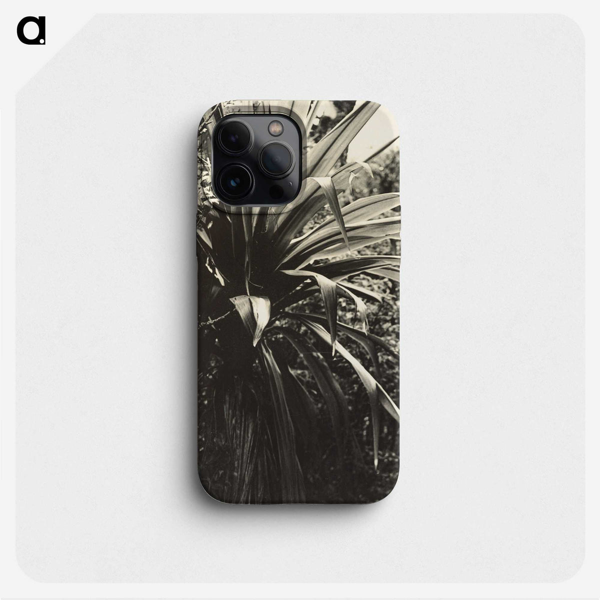 1-27_James-Walter-Chapman-Taylor_phone