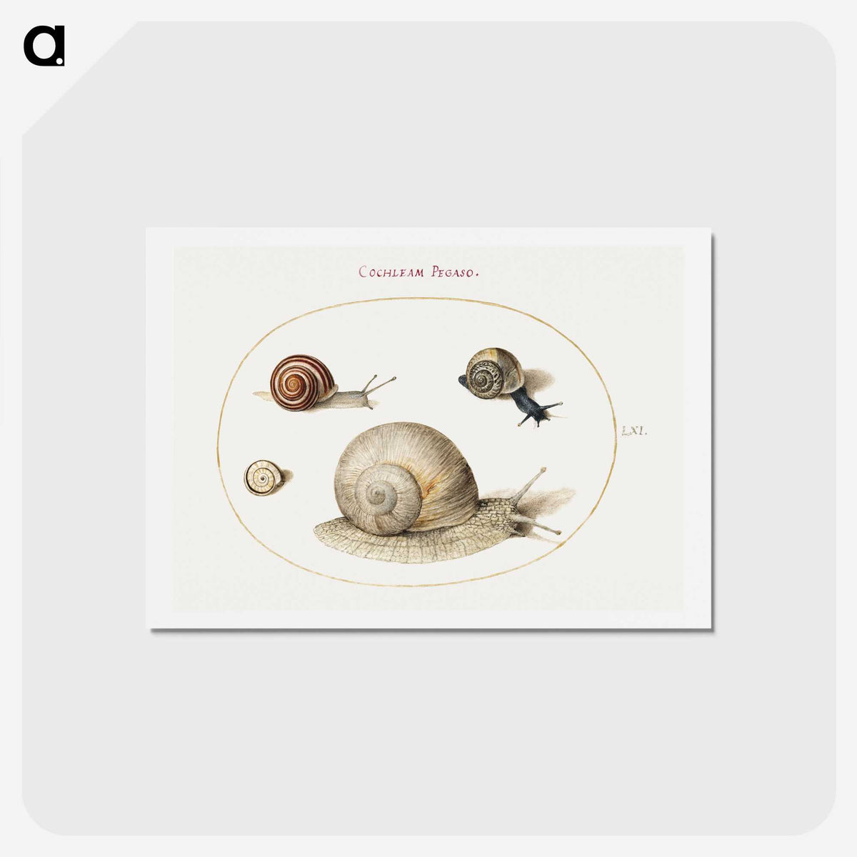 1-27_Joris-Hoefnagel_hagaki