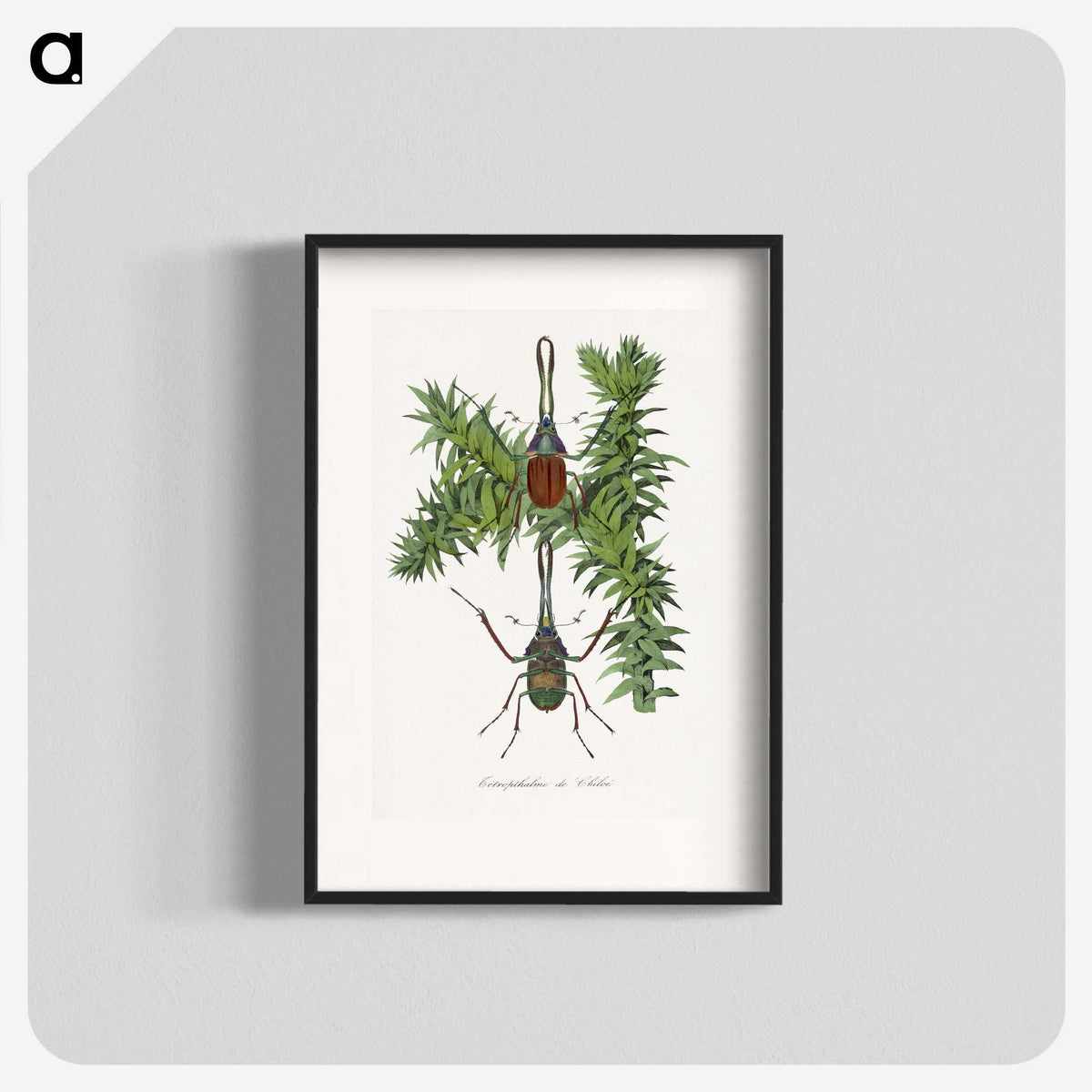 1-27_Le-Jardin-des-Plantes_blk