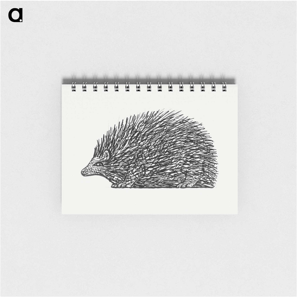 Hedgehog - レオ ヘステル Memo.