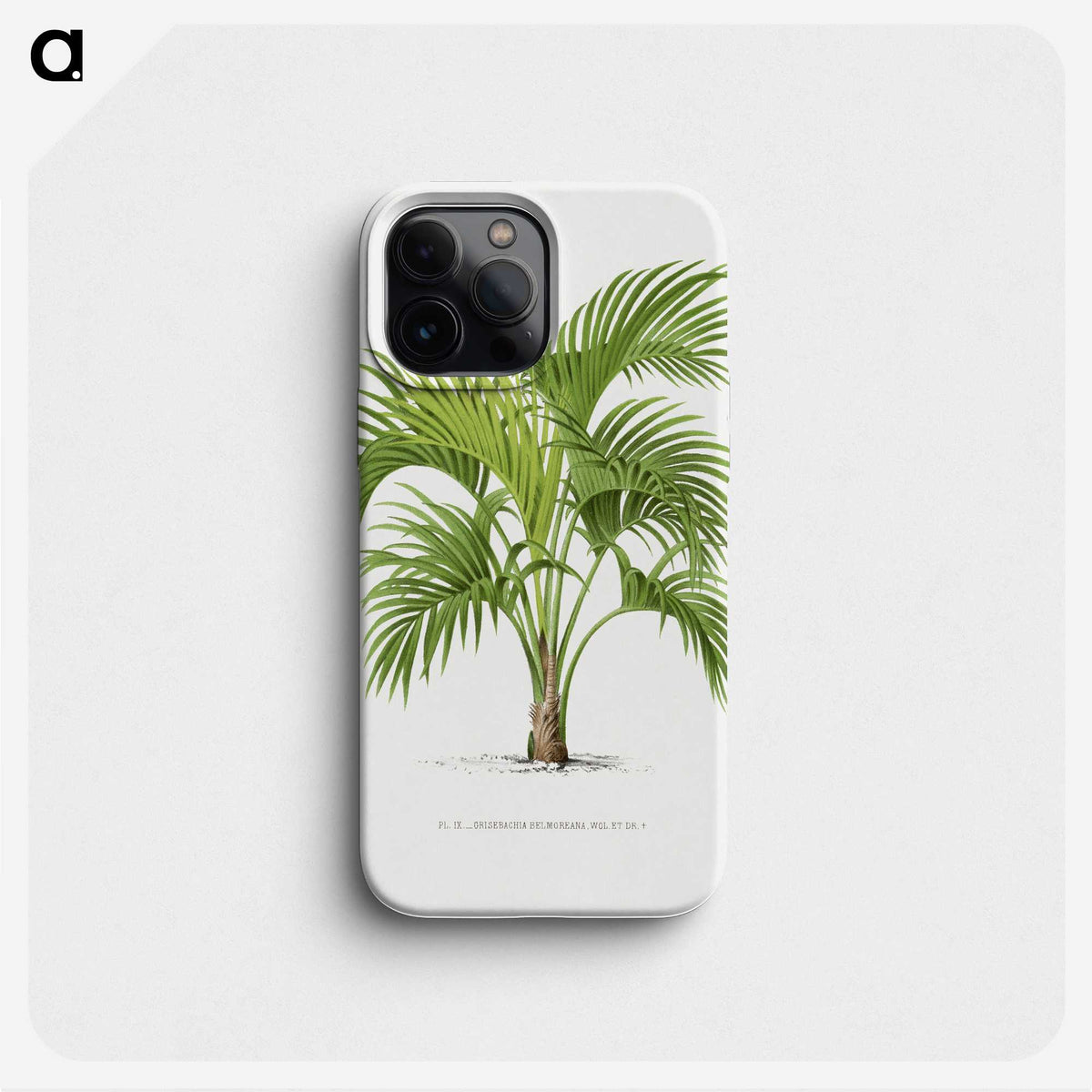 1-27_Les-Palmiers-Histoire-Iconographique_phone