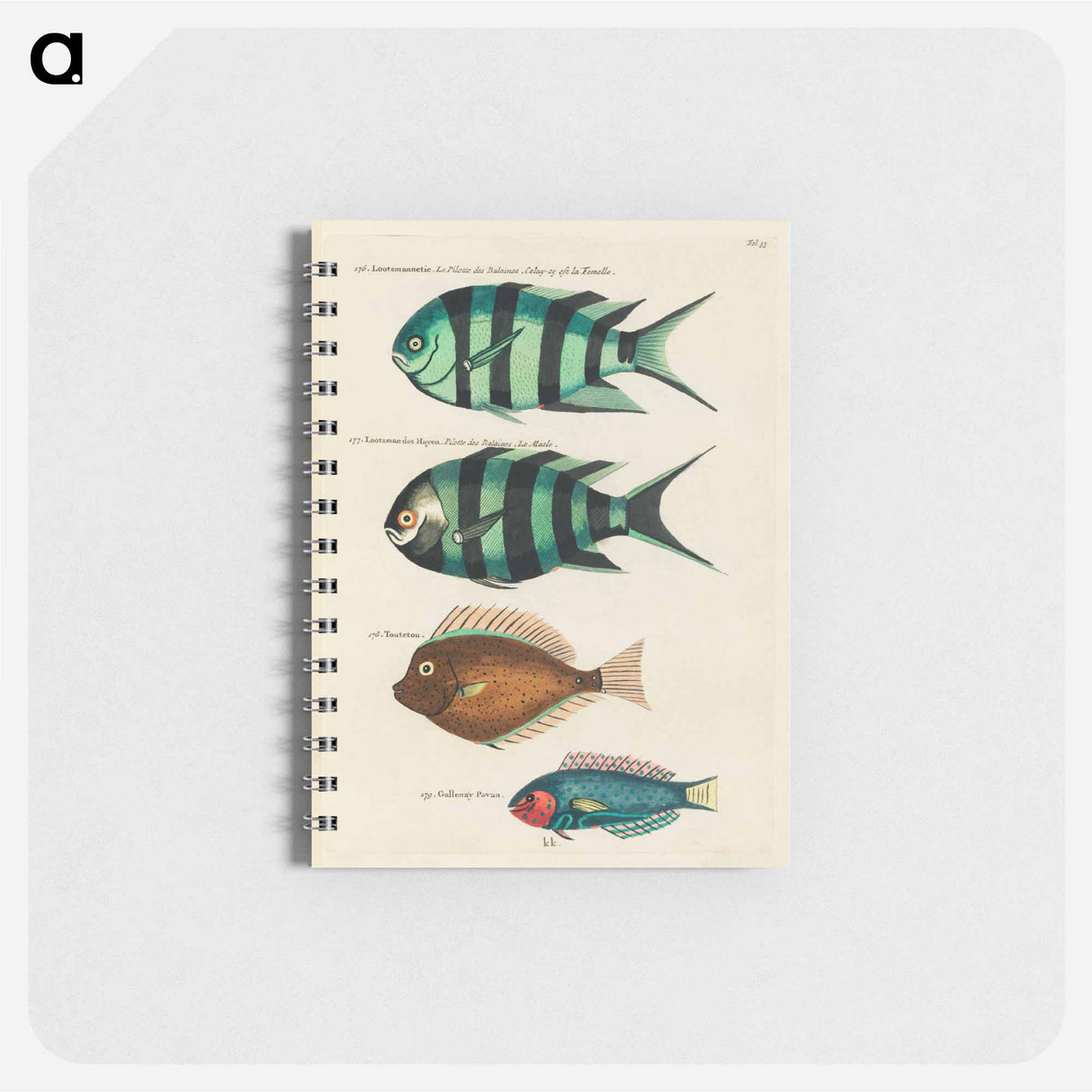 Moluccan Fishes
- ルイ ルナール Memo.