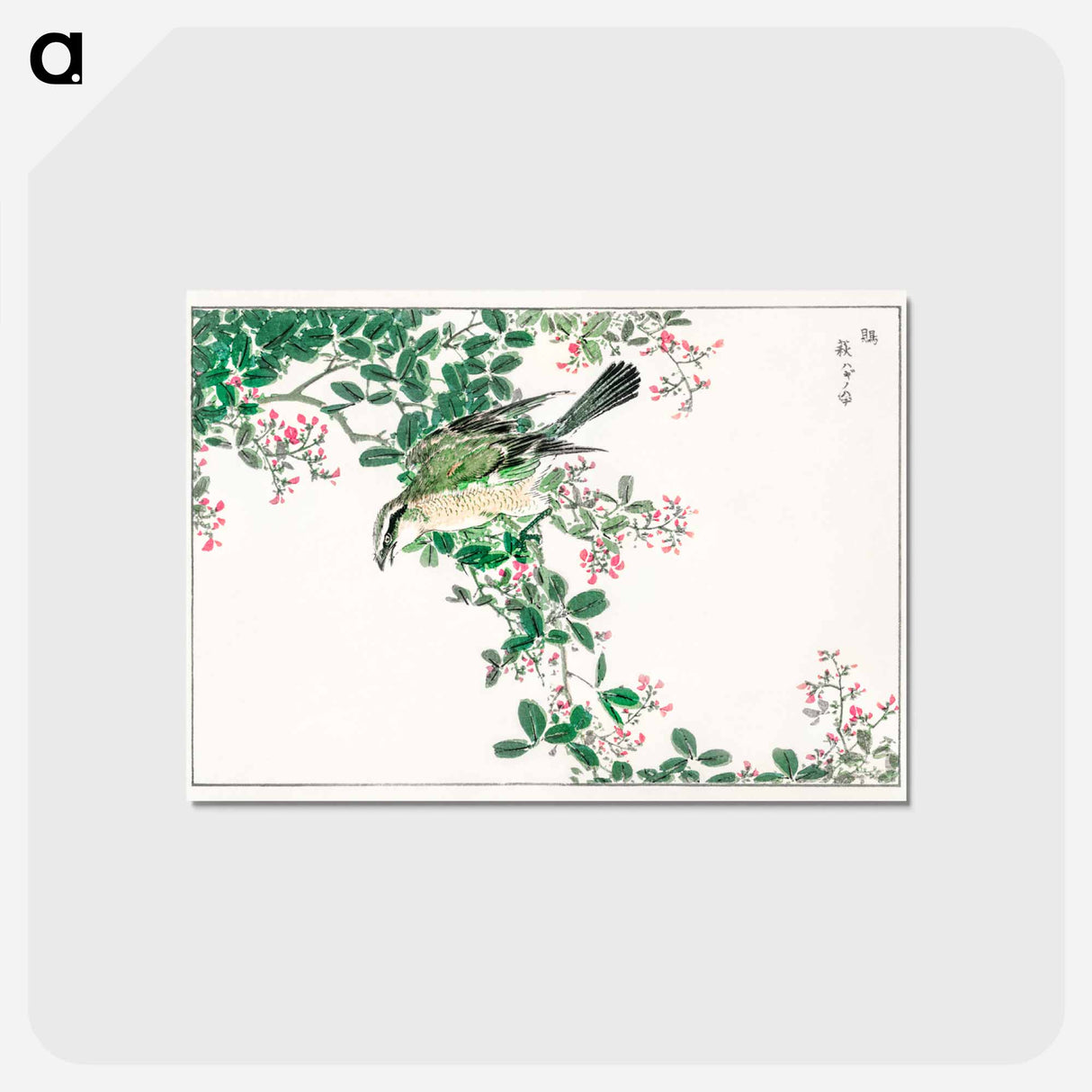 アートポストカード-Bull-headed Shrike and Bush Clover
- 鳥類図鑑 Postcard.