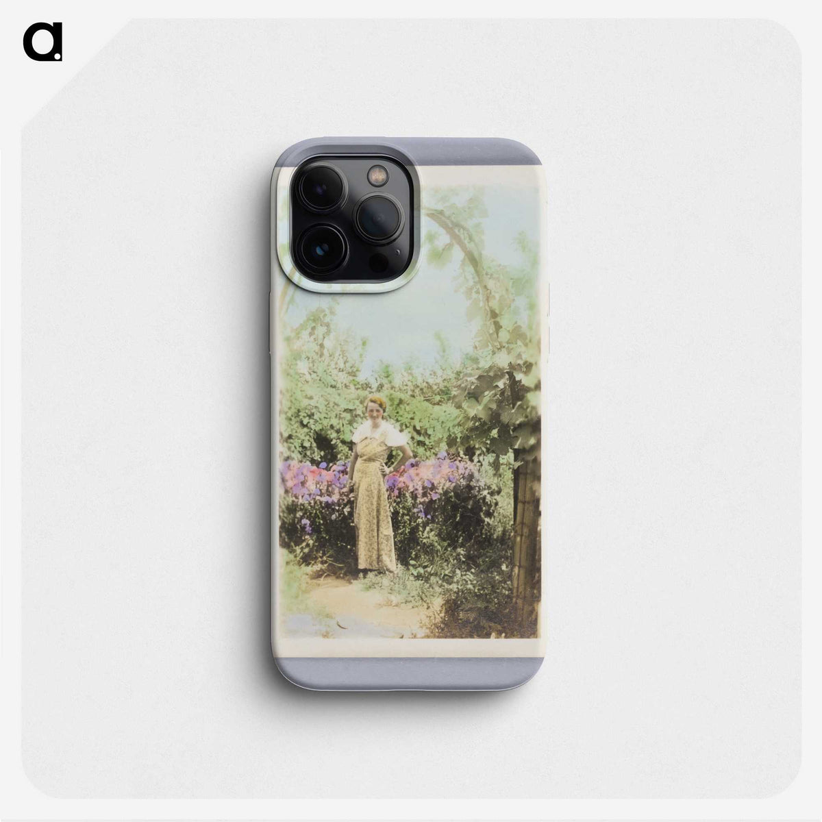 1-27_Saint-Louis-Art-Museum_phone